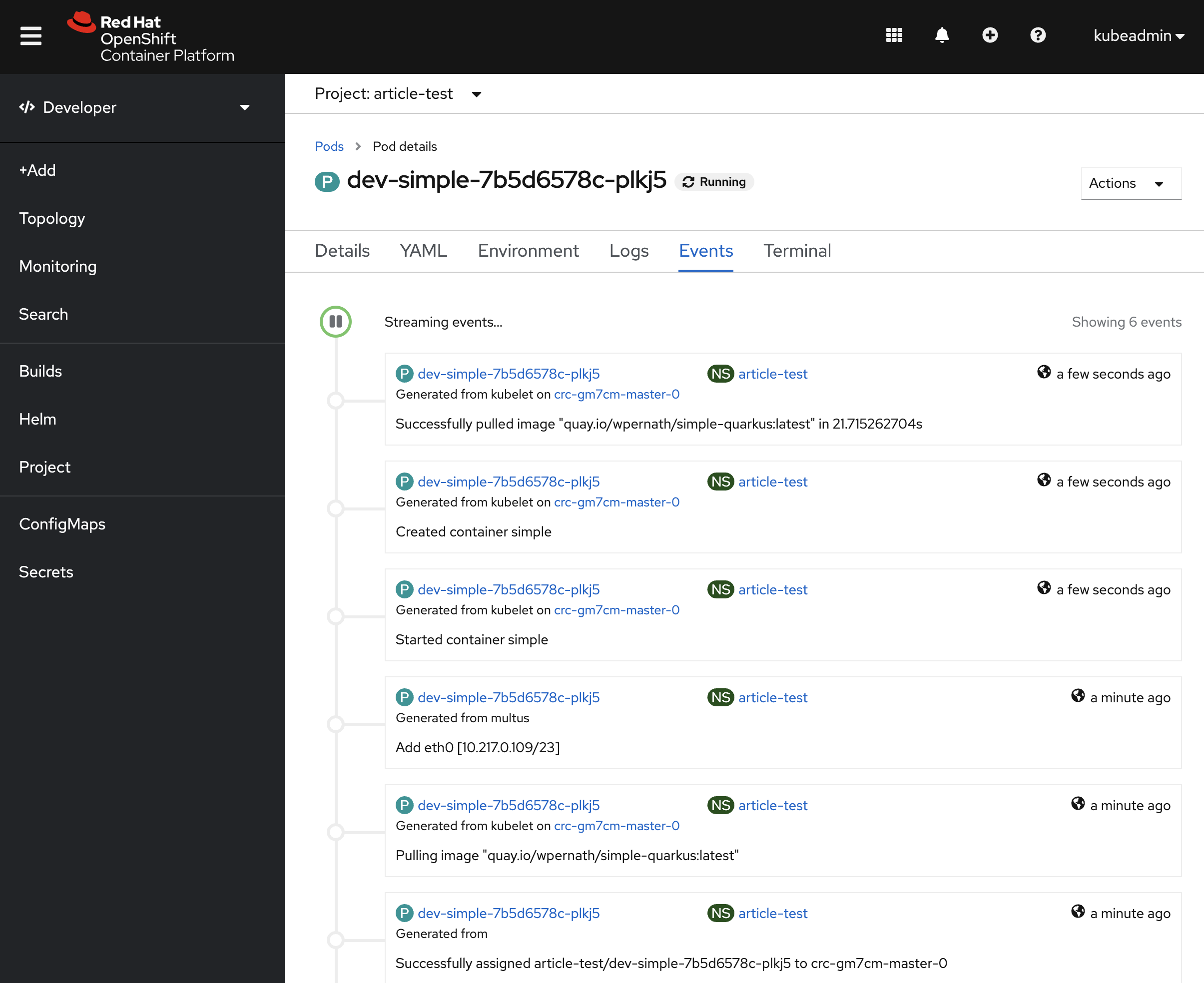 Image 3: Event log for dev-simple application