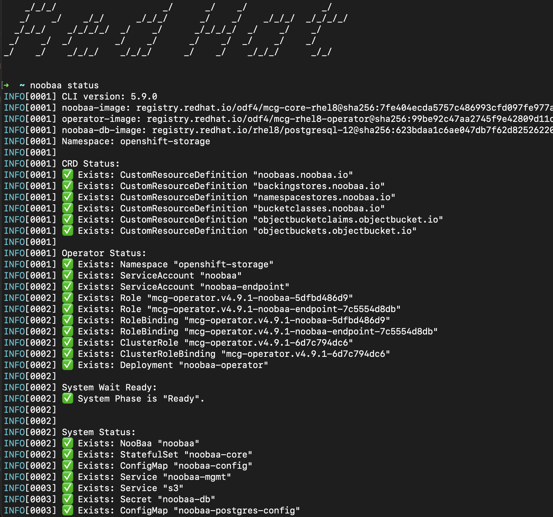 "noobaa status" output