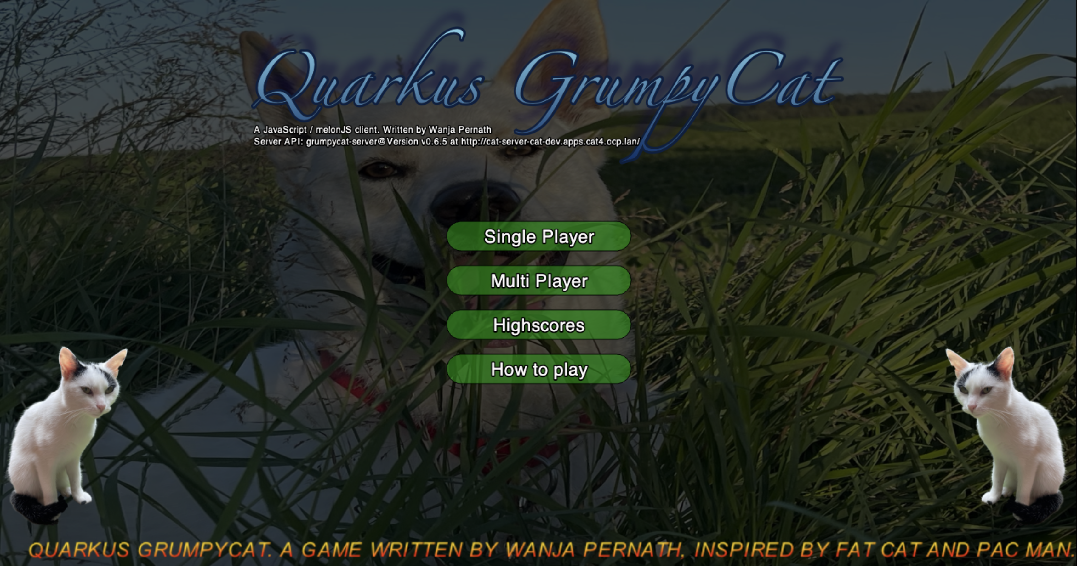 Figure #8: The main screen of the game